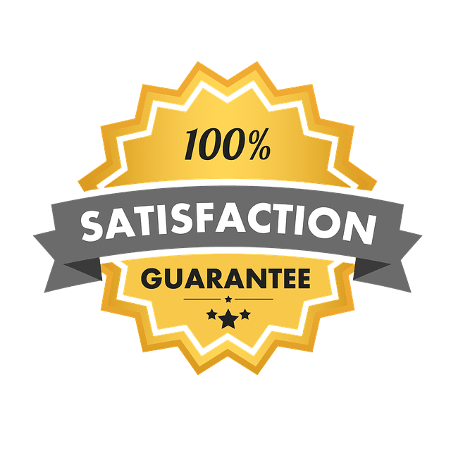 A 100% Satisfaction Guarantee Badge related to SEO services.