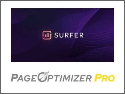 Correlational tools like Surfer SEO and Page Optimizer Pro help you figure out what's working for competitors at a page level.