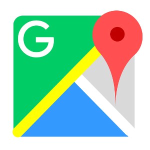 The Google local icon.