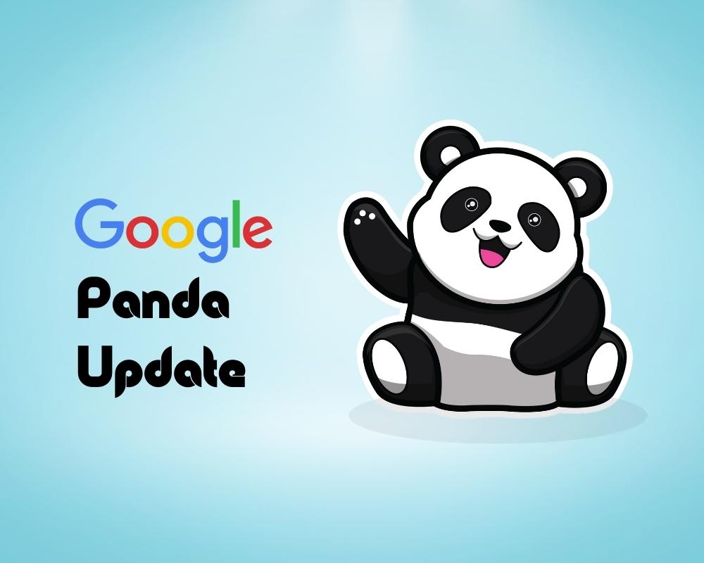 The Google Panda Update